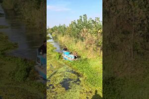 Awesome boat for cleaning water weeds