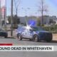 Baby found dead in Whitehaven