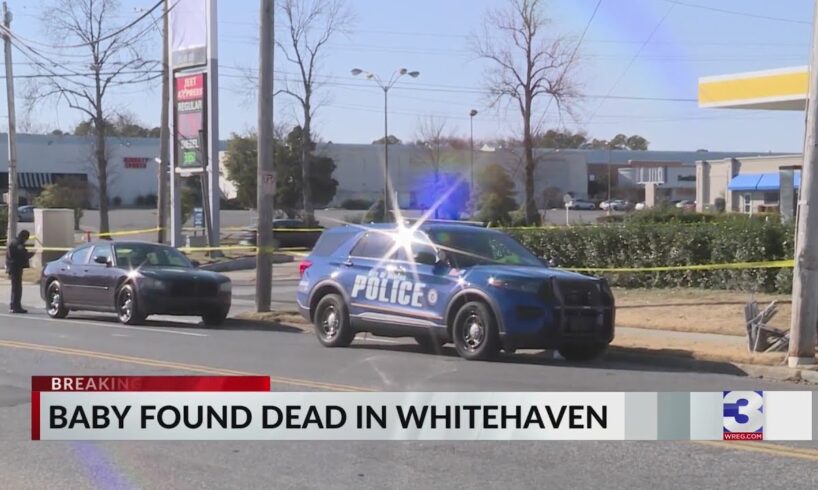 Baby found dead in Whitehaven