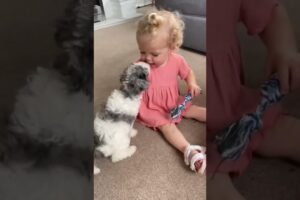 Best bond between dogs and babies 😍