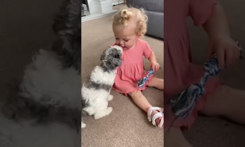 Best bond between dogs and babies 😍