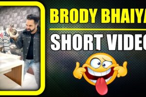 Bhago Bunny ka Bhaiya Brody aa Gya 😂 Funny Dog Short Video | Harpreet SDC