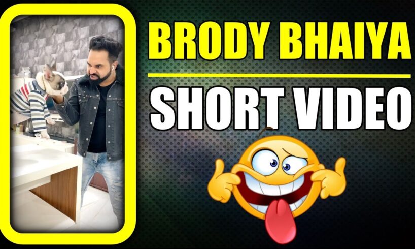 Bhago Bunny ka Bhaiya Brody aa Gya 😂 Funny Dog Short Video | Harpreet SDC