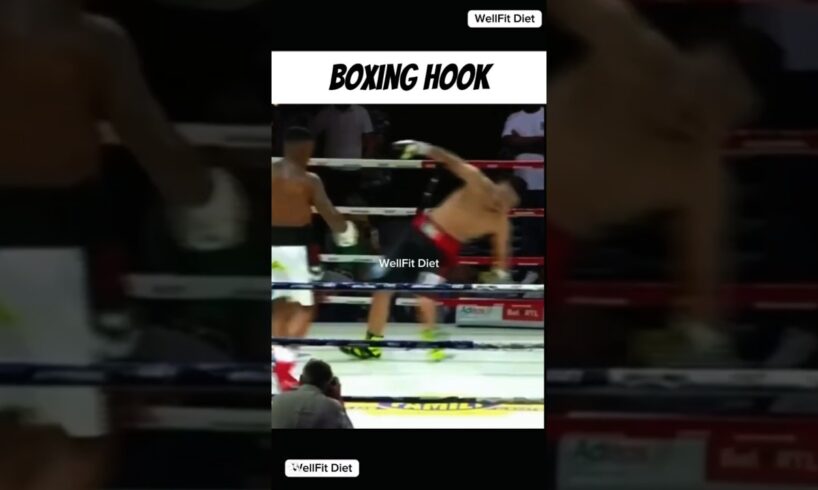 Boxing Hook Punch tutorial Powerful hook combination #boxing #mma #training #viralshort #ytshort