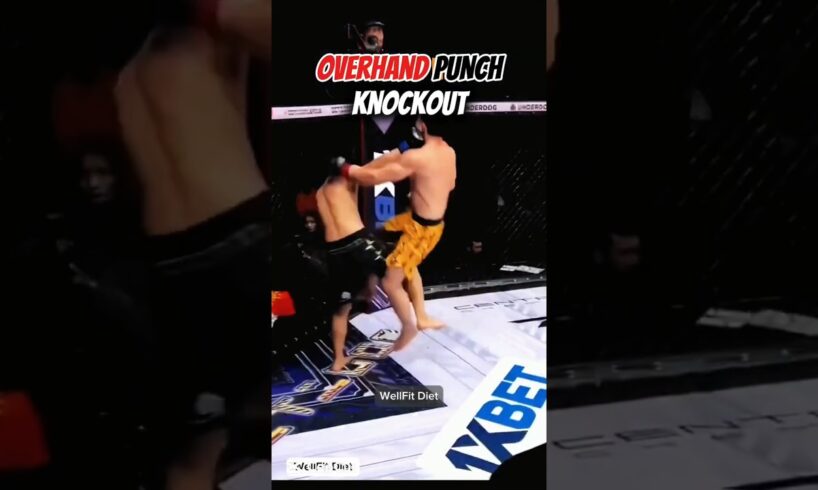 Boxing Overhand Punch Technique for MMA Knockout #boxing #mma #punchingpower #shortvideo #ytshort