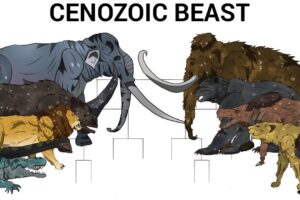 CENOZOIC BEAST TOURNAMENT | ANIMATION