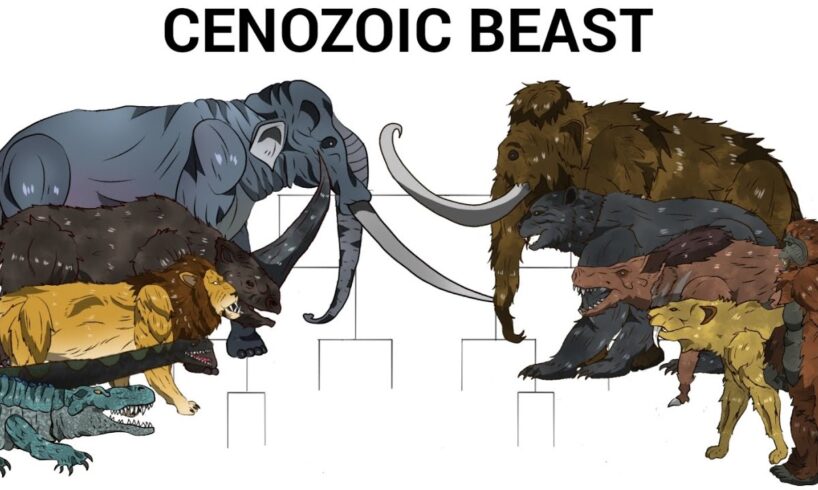 CENOZOIC BEAST TOURNAMENT | ANIMATION