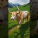 Cow covered in honeycomb like millions bee's save by rescue team #humanity #cow #animals #rescueteam