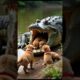 Crocodile save cute puppies