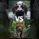 Crocodile vs Wolf Pack! 🦅 Bald Eagle vs Baboon – Wild Animal Battles You Won't Believe! #shorts