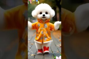 Cute Puppy Funny Dancing💃🤩| #crezydance #cutepuppy #funnyanimal #catvideos #shortfeed #146