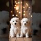 Cute puppies. #cute #puppy #puppies #kukur #dog #doglover #cutepet #funnyvideo #viralshorts #animals