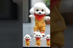 Cute puppies dance #shorts #youtubeshorts #shortvideo