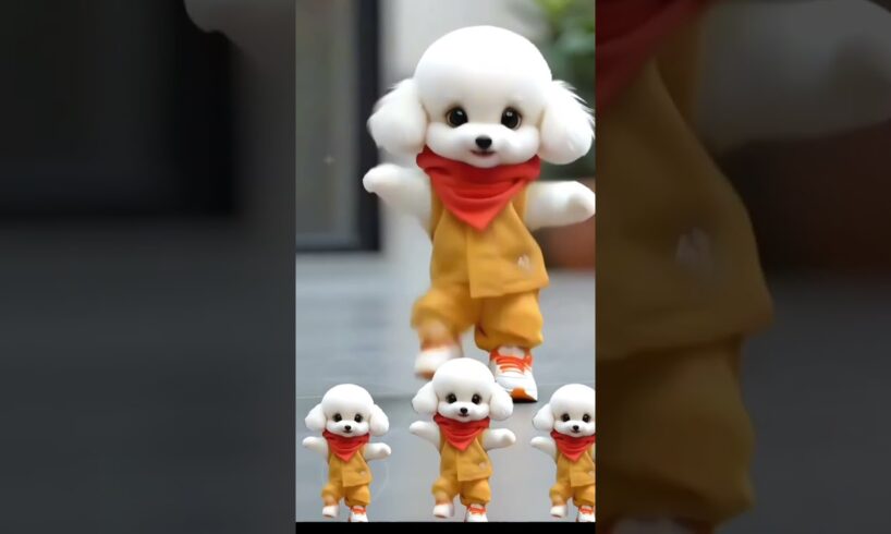 Cute puppies dance #shorts #youtubeshorts #shortvideo