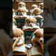 Cute puppies in the class 🌺  #cuteanimals   #shortvideo   #poppy  #midjourney  #cutewildanimals