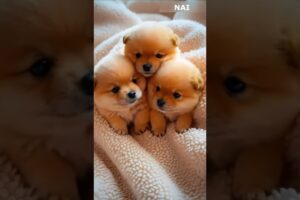 Cute puppies, together with AI #shorts #trending #AI #AIArt  #trendingshorts #animatedshort #puppies