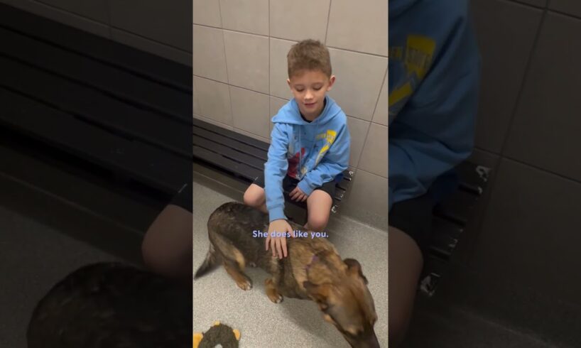 Dad Takes His Son To The Shelter Insisting They Can't Get A Dog | The Dodo