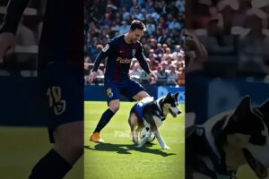 Dog Playing with 3 Legends !?