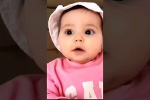 Dog 🐶 funny 🤷‍♀️🤣 video #shorts #cutebaby #catvideos #trending