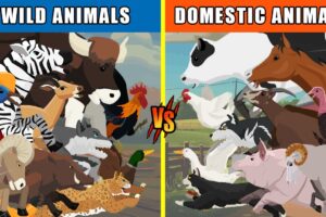 Domestic vs Wild Animals [S1] | Animal Animation