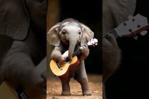 Elephant Playing Guitar #cuteanimals#ai #minianimals#shorts #cute #animals#amazing#magic#funny#pets