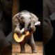 Elephant Playing Guitar #cuteanimals#ai #minianimals#shorts #cute #animals#amazing#magic#funny#pets