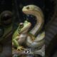 Epic Animal Fights: Predator vs Prey Survival Showdown #trending #predatorvsprey #animals #snake