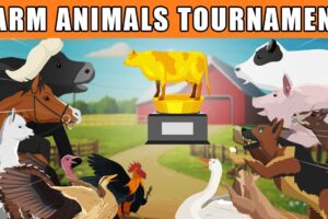 Farm Animals Tournament [S1] | Animal Animation