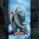 Heartwarming Animal Rescue | Polar Bear Trapped in Net – Incredible Arctic Rescue!