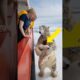 Heartwarming rescue of polar bear mom by volunteers in harsh Arctic.