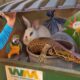 I Found Live Animals in a Pet Store Dumpster!