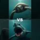 INSANE Ocean Predator Fights—Who Wins? 🦑🦭🐧