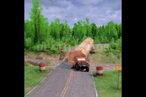 Inside The Life Of A Logging Truck Driver: large load of wood || Death Roads