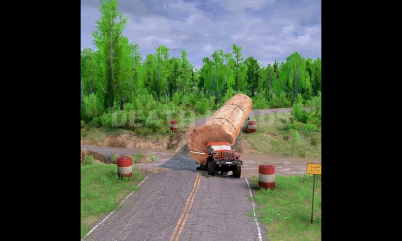 Inside The Life Of A Logging Truck Driver: large load of wood || Death Roads