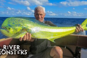 Jeremy Wade’s Ultimate FISH ALPHABET Challenge! | River Monsters