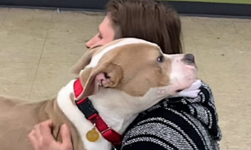 Lost dog's so happy to be rescued