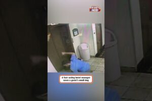 Man Rescues Dogs From Elevator Trap