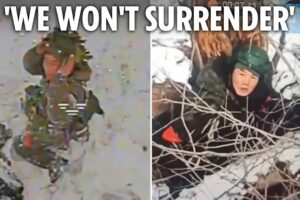 North Korean soldiers killing THEMSELVES to avoid being captured by Ukraine