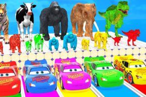 Paint Animals Cow,Elephant,Tiger,Gorilla,Dinosaur Paint Wild Animal Crossing Fountain Animation 2025