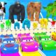 Paint Animals Cow,Elephant,Tiger,Gorilla,Dinosaur Paint Wild Animal Crossing Fountain Animation 2025