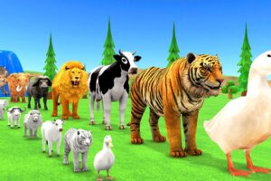 Paint Animals Duck,Tiger,Cow,Lion,Buffalo,Gorilla,Elephant,Dinosaur Fountain Crossing Animal Game Ne