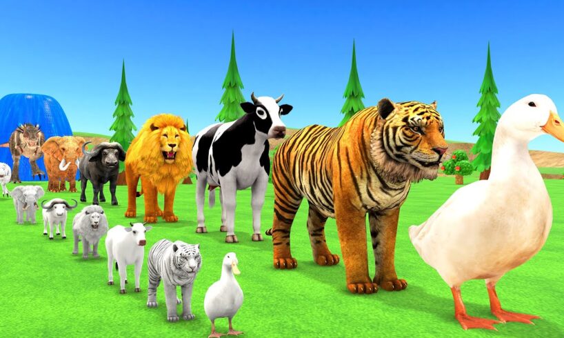 Paint Animals Duck,Tiger,Cow,Lion,Buffalo,Gorilla,Elephant,Dinosaur Fountain Crossing Animal Game Ne