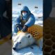 Polar bear rescued from bees by rescue team #bear #polarbear #bee #rescue #rescueteam #NorthPole