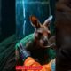 Real-Life Animal Rescue: Team Saves a Kangaroo in Distress #shorts  #viralshorts   #trendingshorts