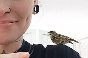 Rescue bird comforts people at tattoo store