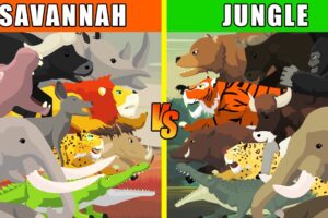 Savannah vs Jungle Animals [S1] | Animal Animation