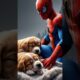 Spiderman aur supergirl ne dekhe do cute puppies #spiderman #supergirl #ytshorts