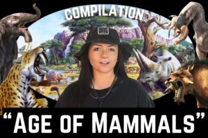 The Cenozoic Era (That We Know Of) Age of Mammals COMPILATION | Lindsay Nikole