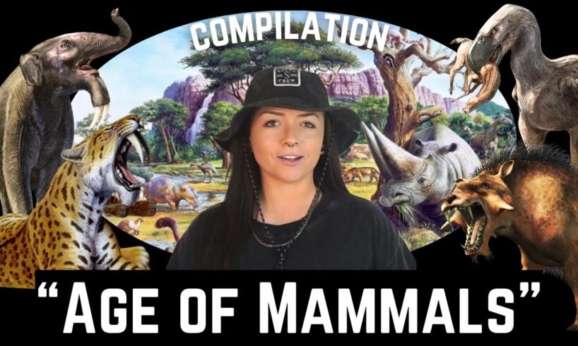 The Cenozoic Era (That We Know Of) Age of Mammals COMPILATION | Lindsay Nikole