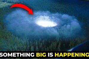 What's Going in Our National Forests!? | 10 Unexplained Cases